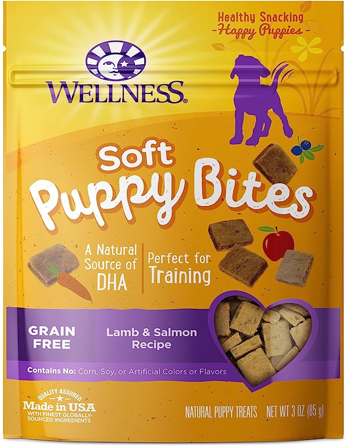 Elevate Your Dog’s Training Experience with Wellness Natural Training Treats